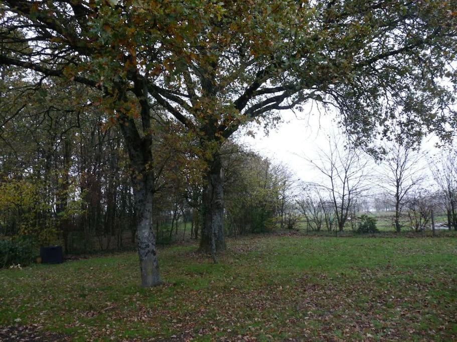 Charmante Maison En Campagne Grand-Fougeray Exterior photo